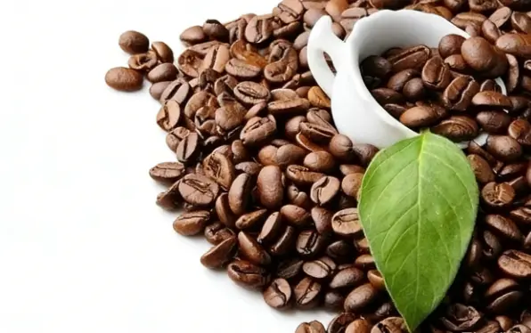 Caffeic Acid Powder Caffeic Acid Powder