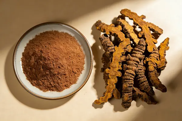 Rhizoma Coptidis Powder