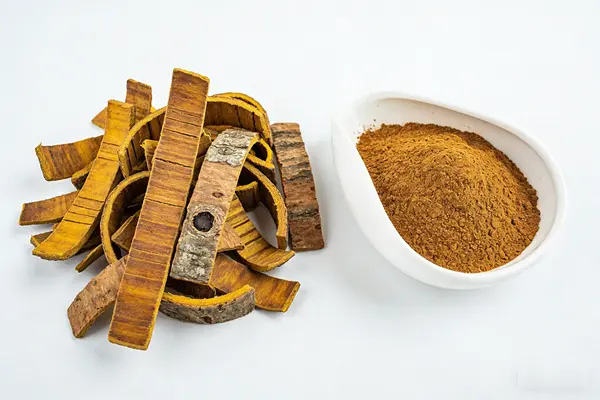 Cortex Phellodendri Powder