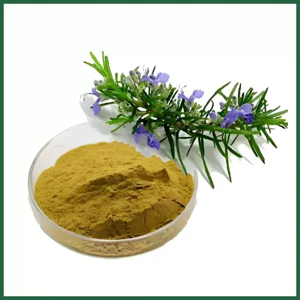 Unlock Nature’s Strength: The Remarkable Benefits of Ursolic Acid