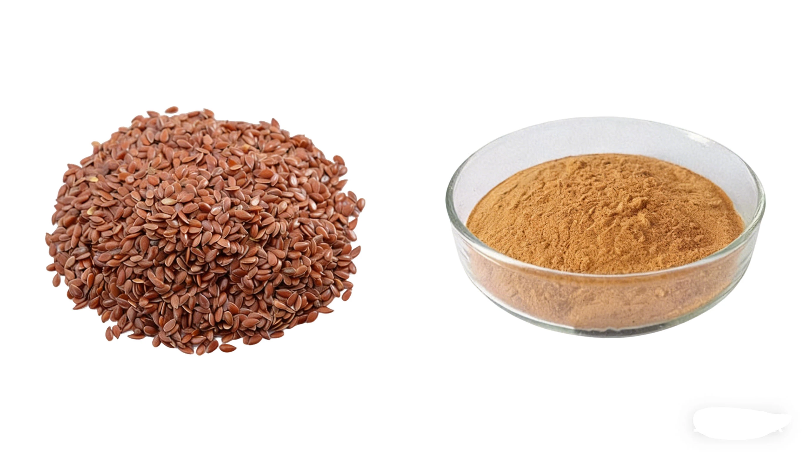 Flaxseed Extract Powder