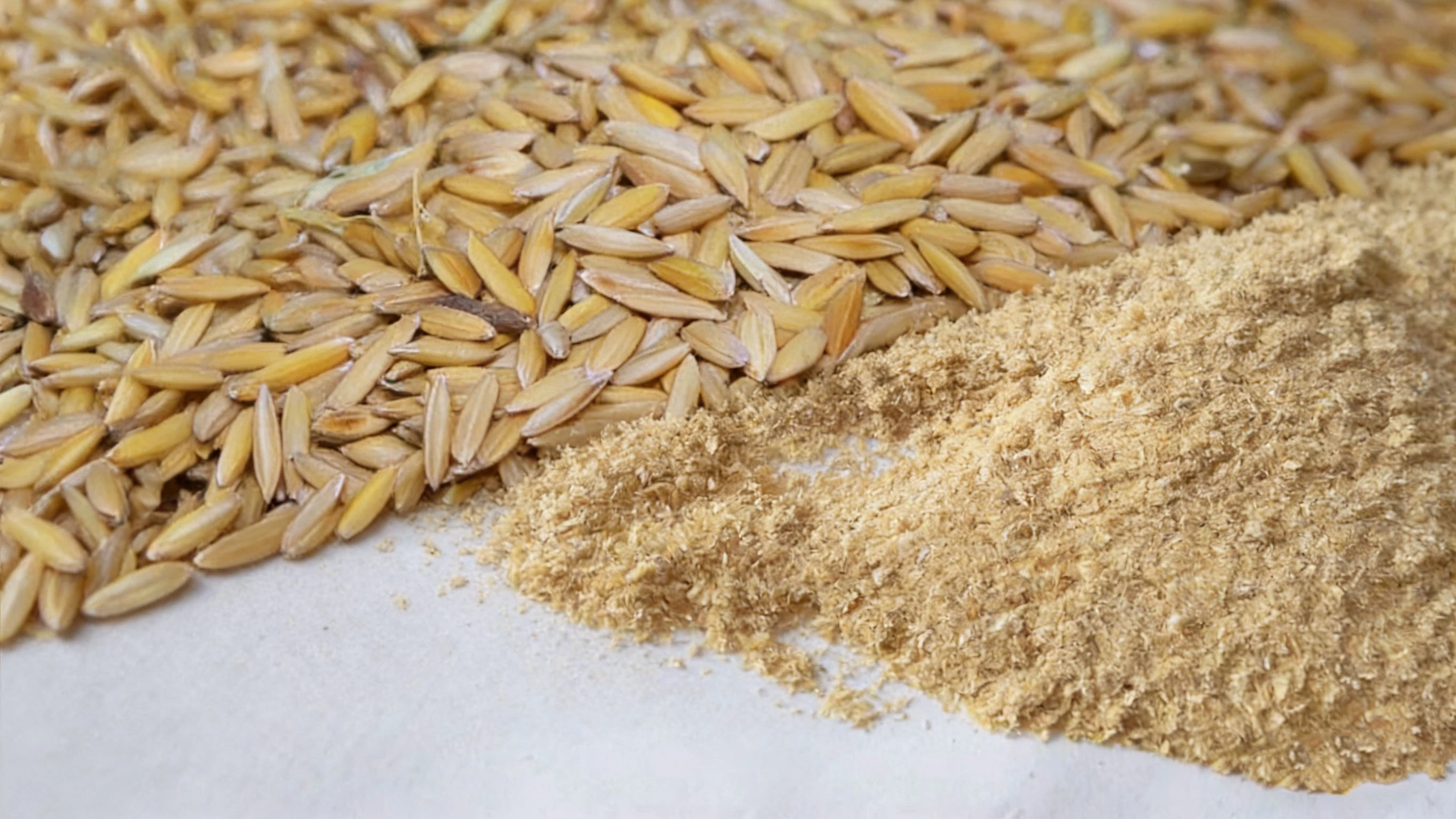 Rice Bran Raw Materials Rice Bran Raw Materials
