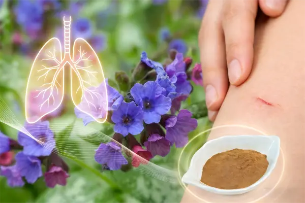 Lungwort Extract Lungwort Extract
