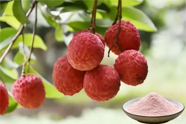 Lychee Extract Lychee Extract