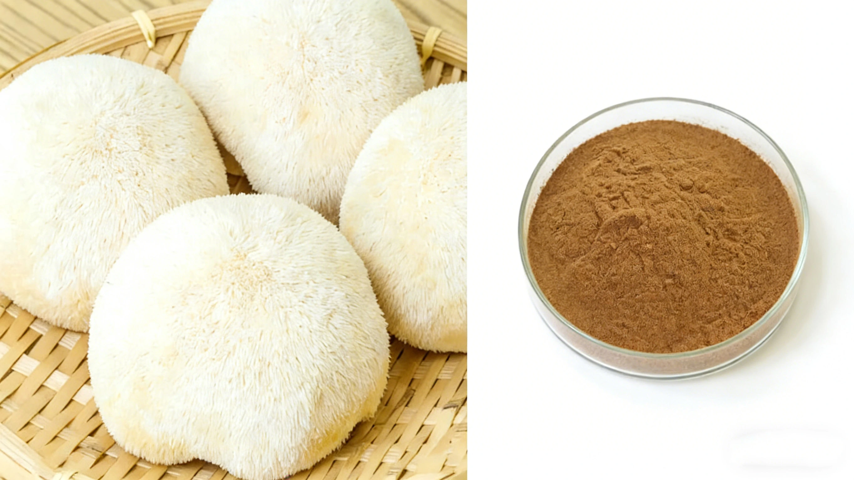 Lion's Mane Mushroom Extract Lion's Mane Mushroom Extract