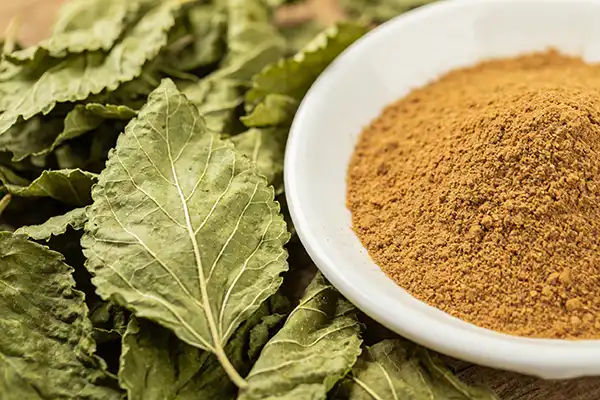 Mulberry Powder Mulberry Powder