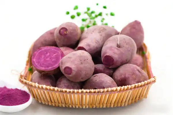 Purple Sweet Potato Extract Purple Sweet Potato Extract