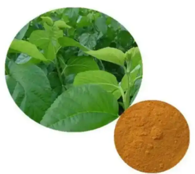 muberry leaf extract powder