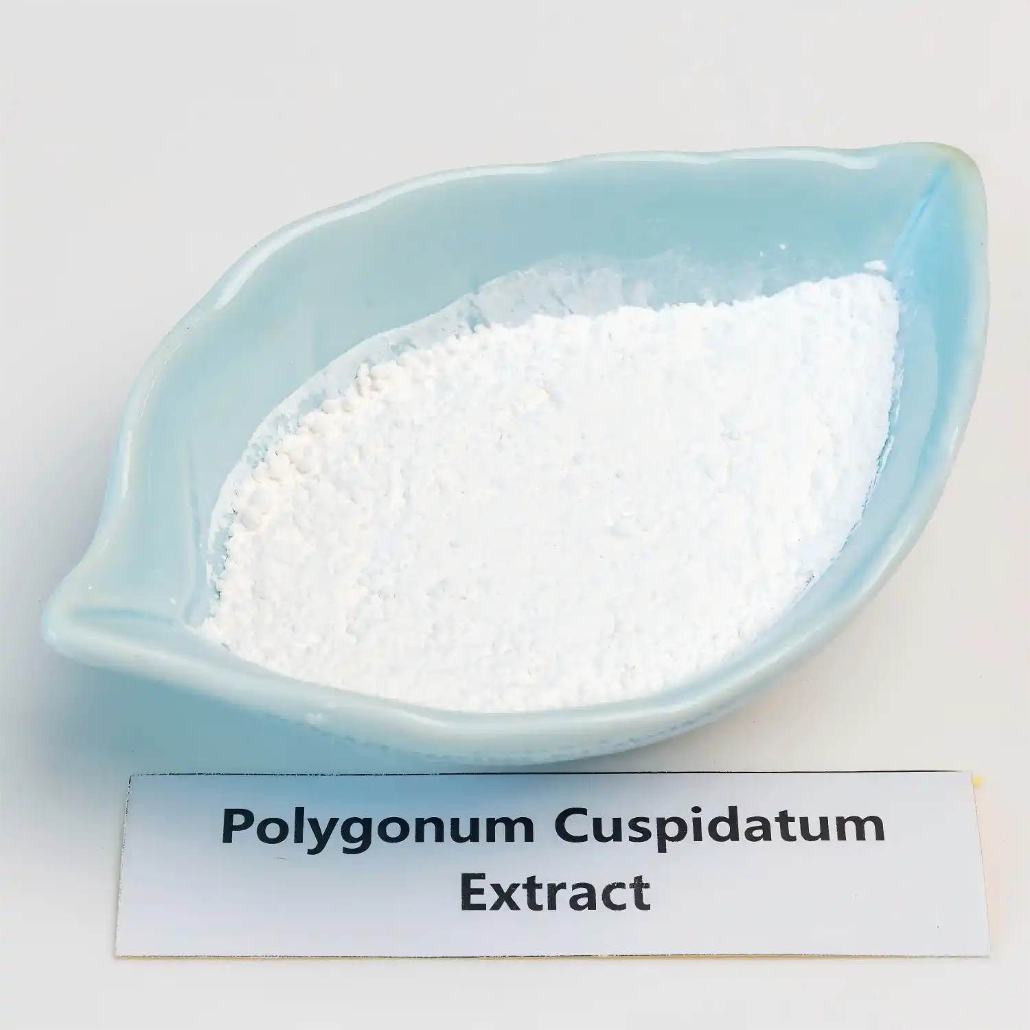 Polygonum Cuspidatum Extract