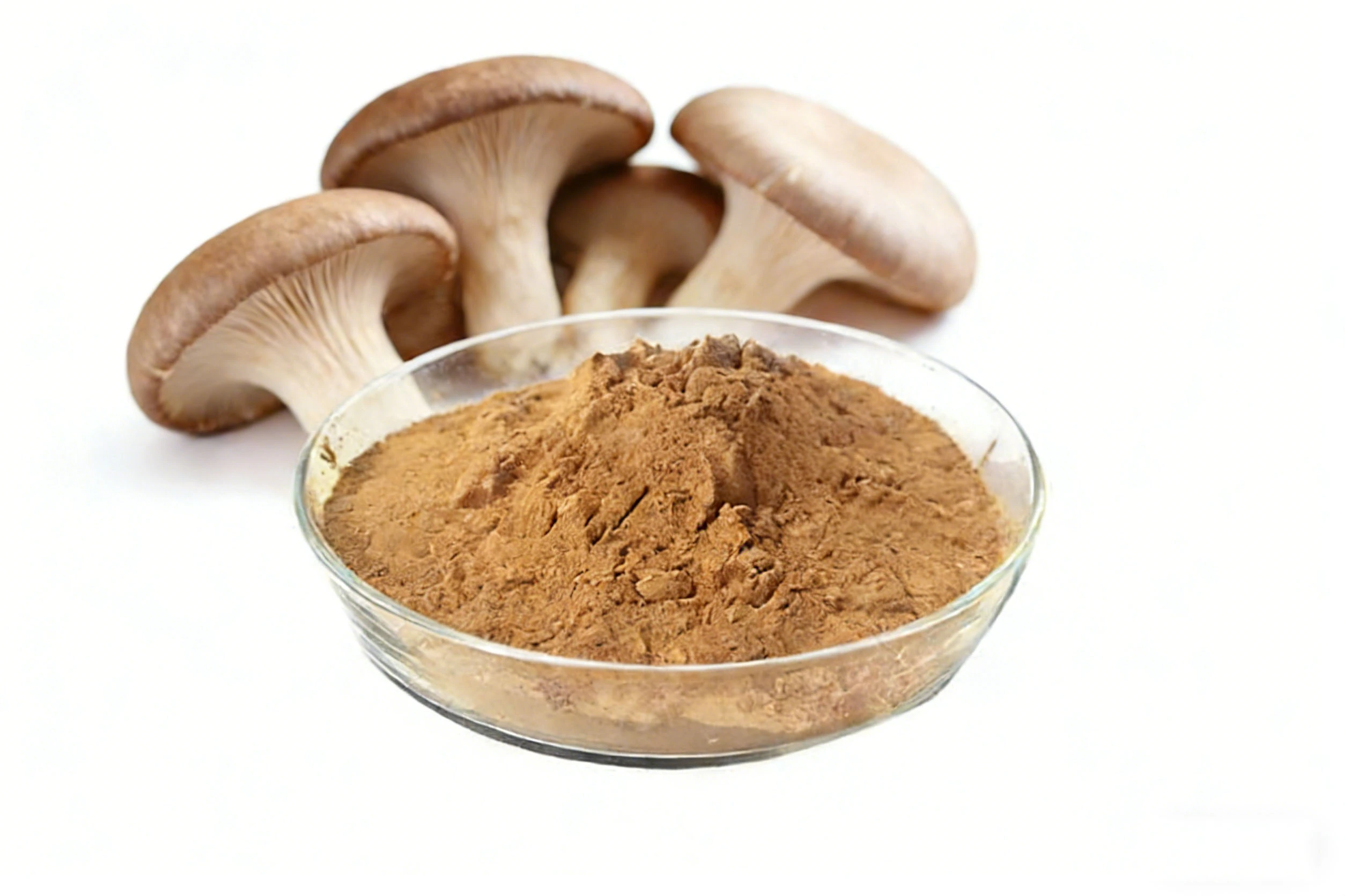 Oyster Mushroom Extract