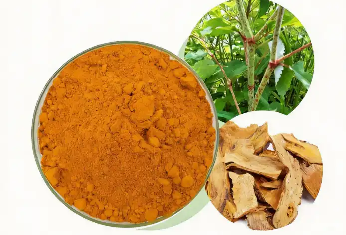 Polygonum Cuspidatum Extract 