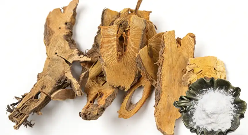 Polygonum Cuspidatum Extract Polygonum Cuspidatum Extract