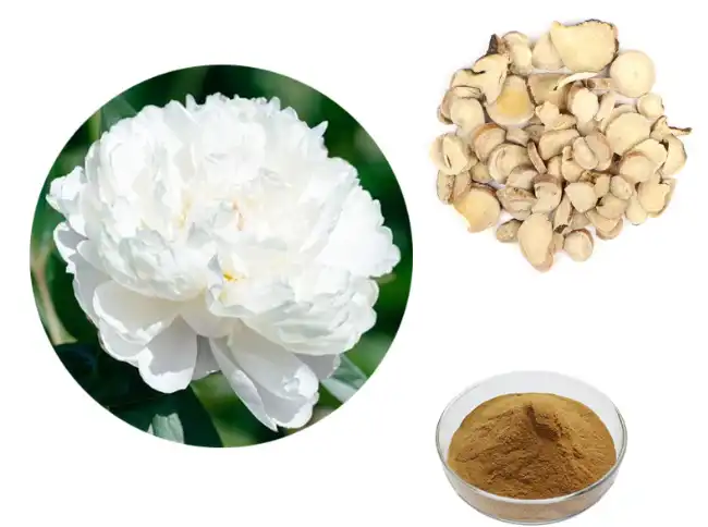 White Paeony Extract White Paeony Extract