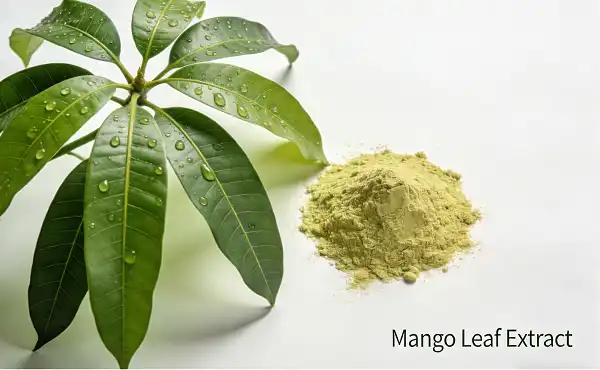 Mango Leaf Extract