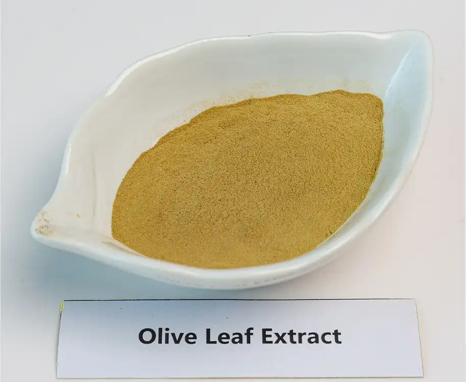 Olive Extract Powder