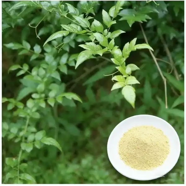 Vine Tea Extract Vine Tea Extract
