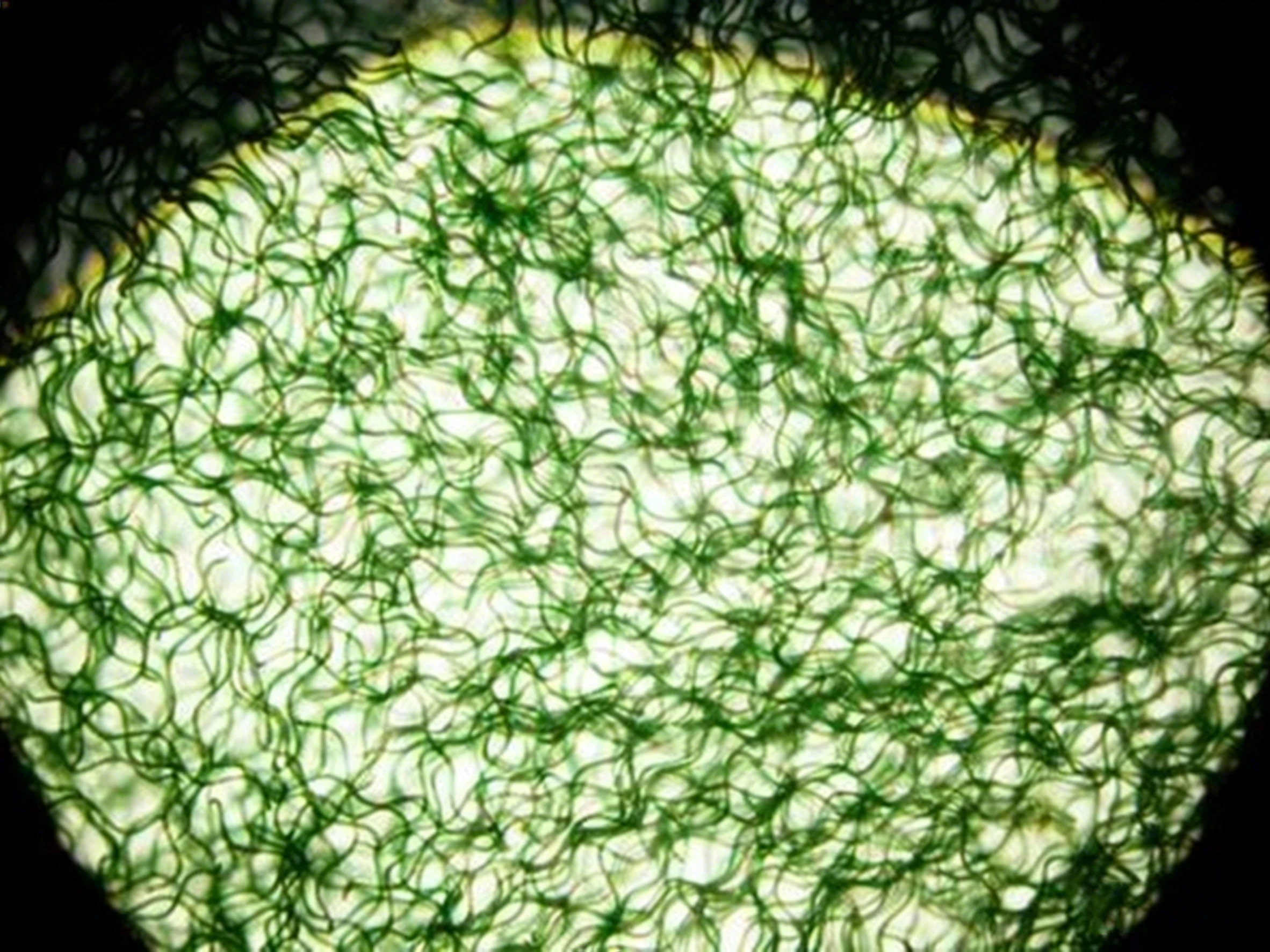 product-1-1 product-1-1