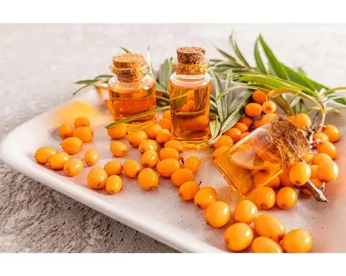 Organic Sea Buckthorn Seed Oil Organic Sea Buckthorn Seed Oil