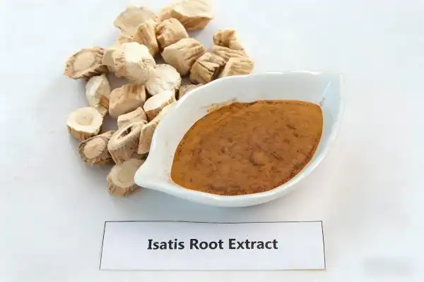 Isatis Root Extract Isatis Root Extract