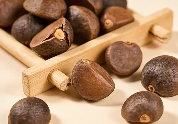 camellia seed extract