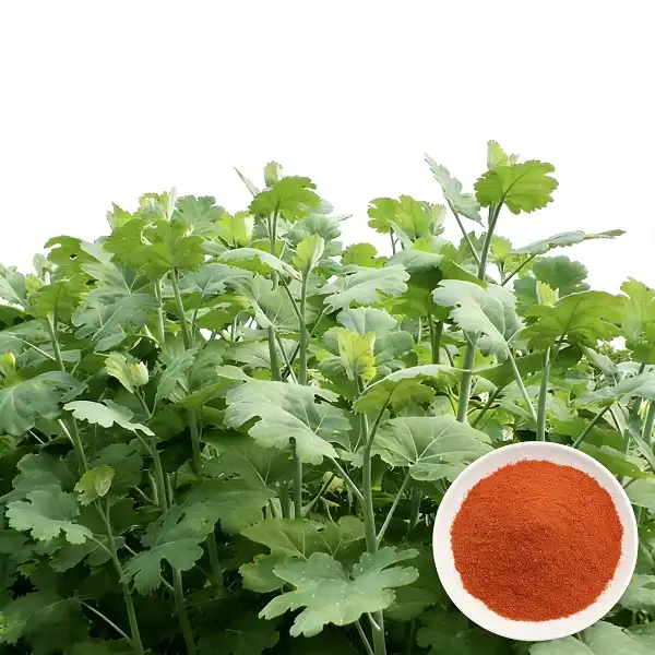 Macleaya Cordata Extract Macleaya Cordata Extract