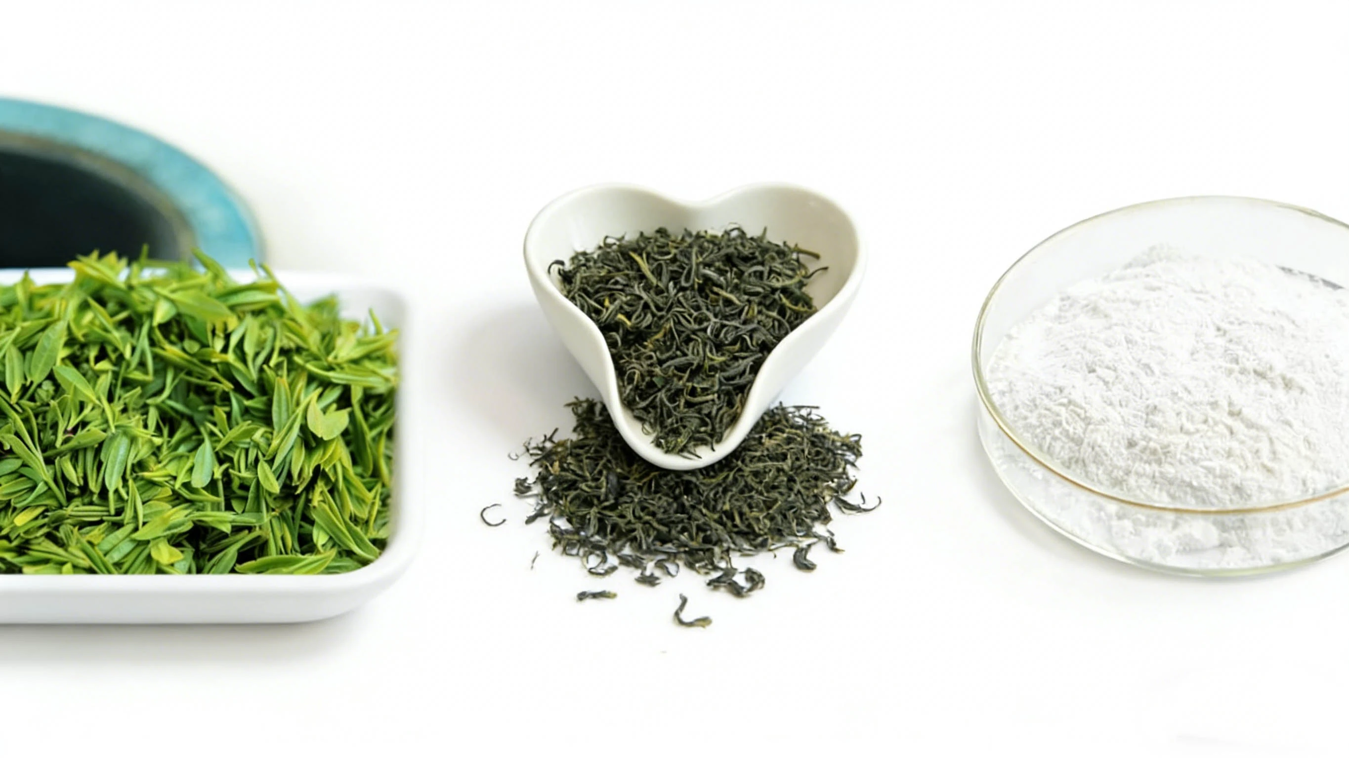 Green Tea Extract