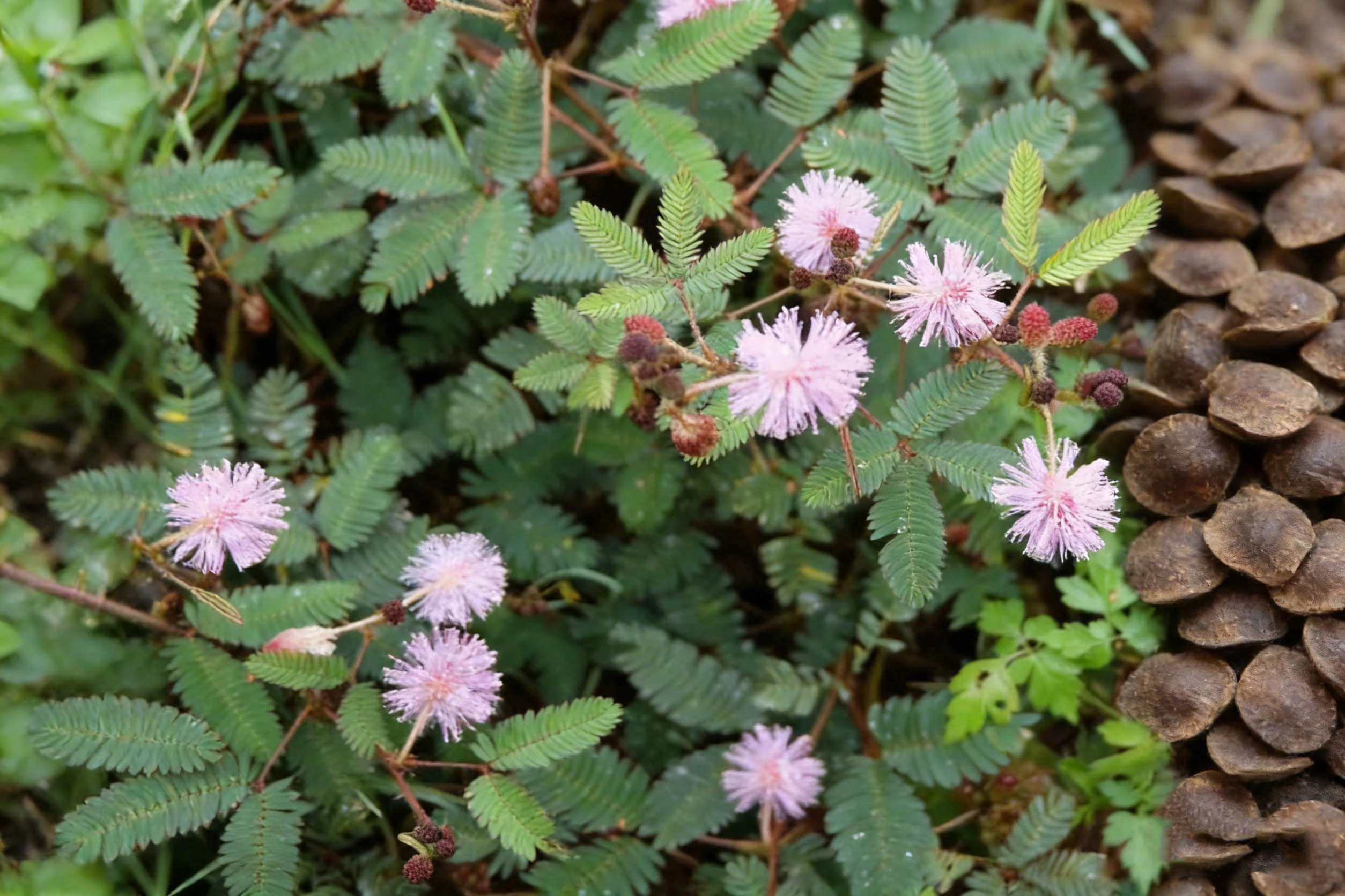 product-1-1 product-1-1