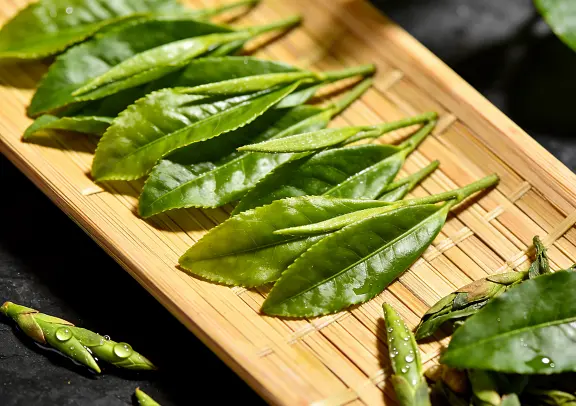 Instant Green Tea Powder Instant Green Tea Powder