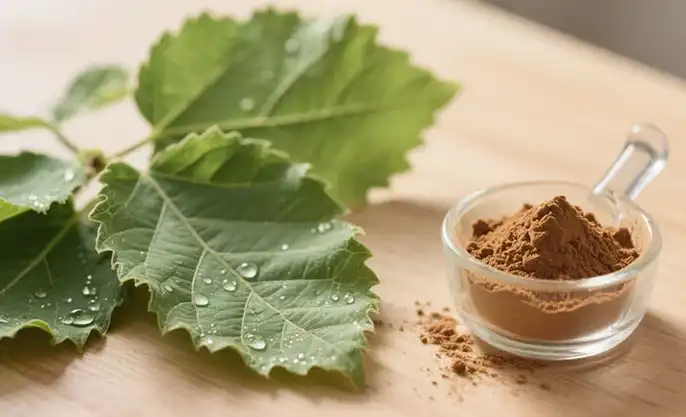 Mulberry Leaf Extract Powder Mulberry Leaf Extract Powder