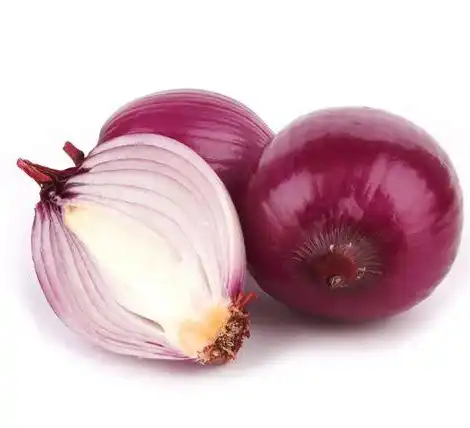 Onion Extract