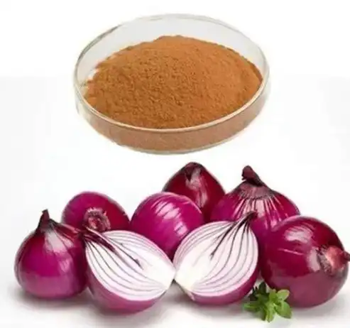 Onion Extract Onion Extract
