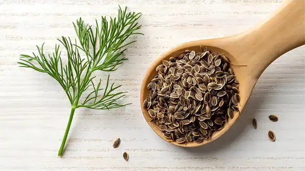Dill Seed Extract