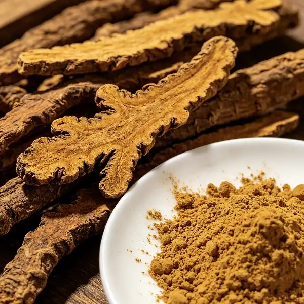 Rhizoma Coptidis Powder