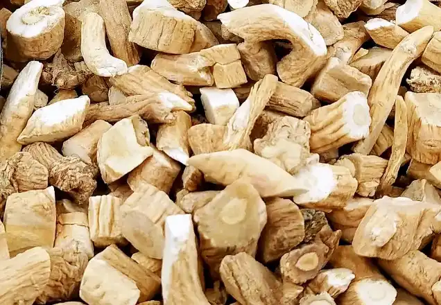 Isatis Root Extract Isatis Root Extract