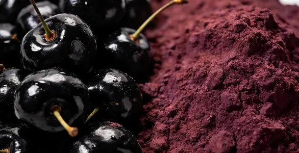 Black Cherry Juice Powder Black Cherry Juice Powder