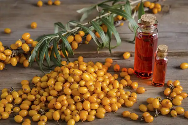 Organic Sea Buckthorn Seed Oil Organic Sea Buckthorn Seed Oil