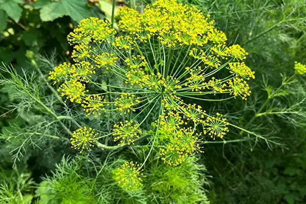blog-1-1