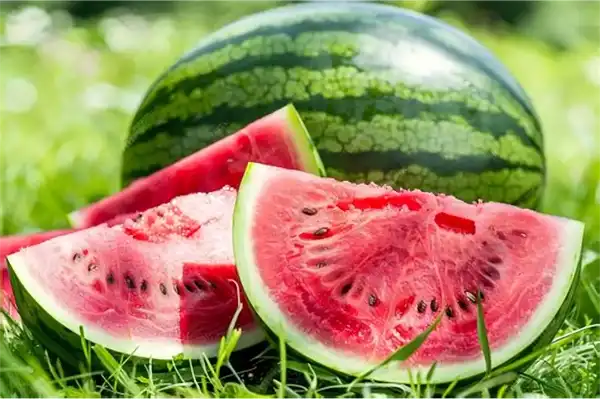 Watermelon Powder
