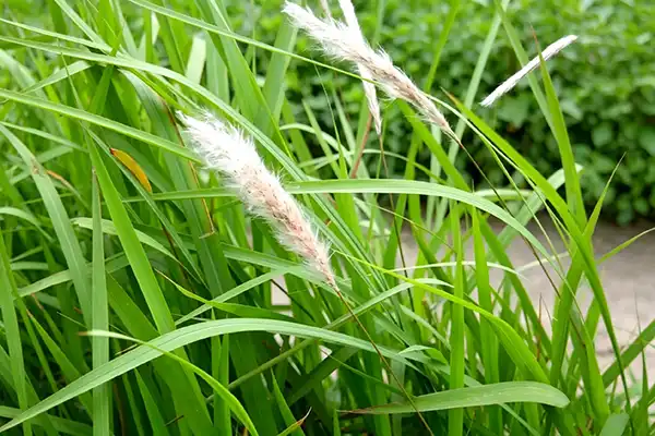 blog-1-1