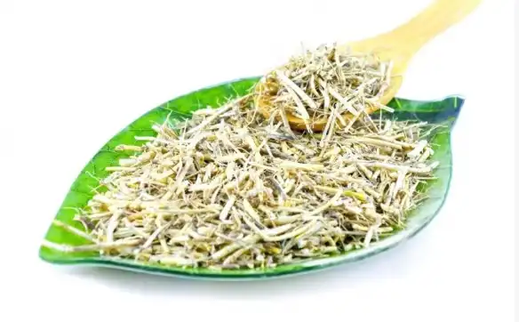 Couch Grass Rhizome Extract Couch Grass Rhizome Extract