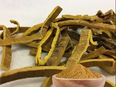Cortex Phellodendri Powder Cortex Phellodendri Powder