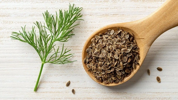 Dill Seed Extract