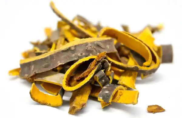 Cortex Phellodendri Powder Cortex Phellodendri Powder