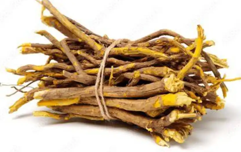 Rhizoma Coptidis Powder Rhizoma Coptidis Powder