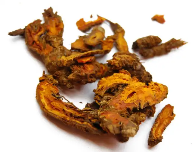 Rhizoma Coptidis Powder Rhizoma Coptidis Powder