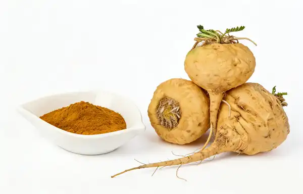 Maca Extract Powder