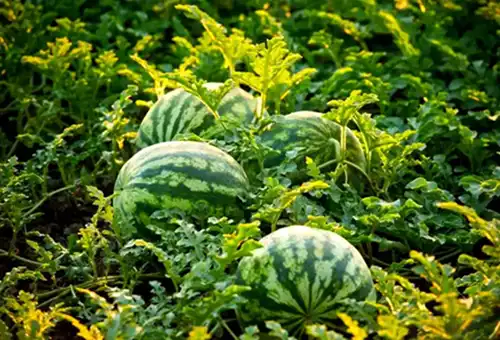 blog-1-1 blog-1-1