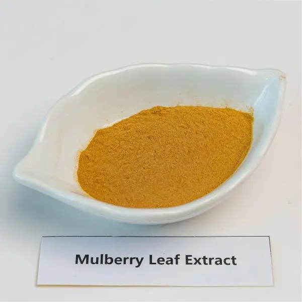 Mulberry Leaf Extract Powder Mulberry Leaf Extract Powder