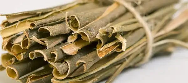 White Willow Bark Extract Powder White Willow Bark Extract Powder