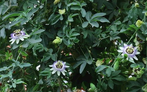 blog-1-1 blog-1-1